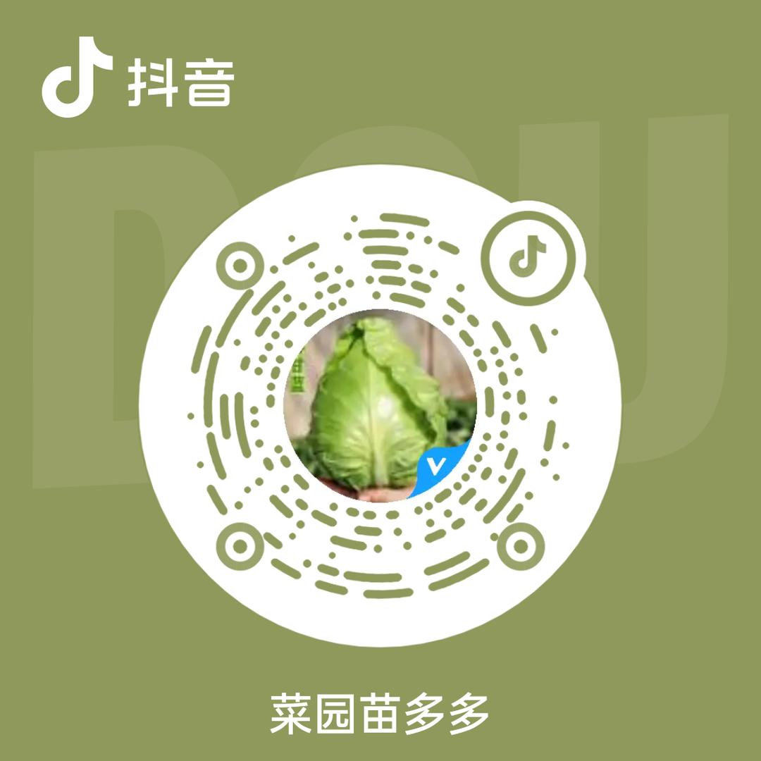菜园苗多多