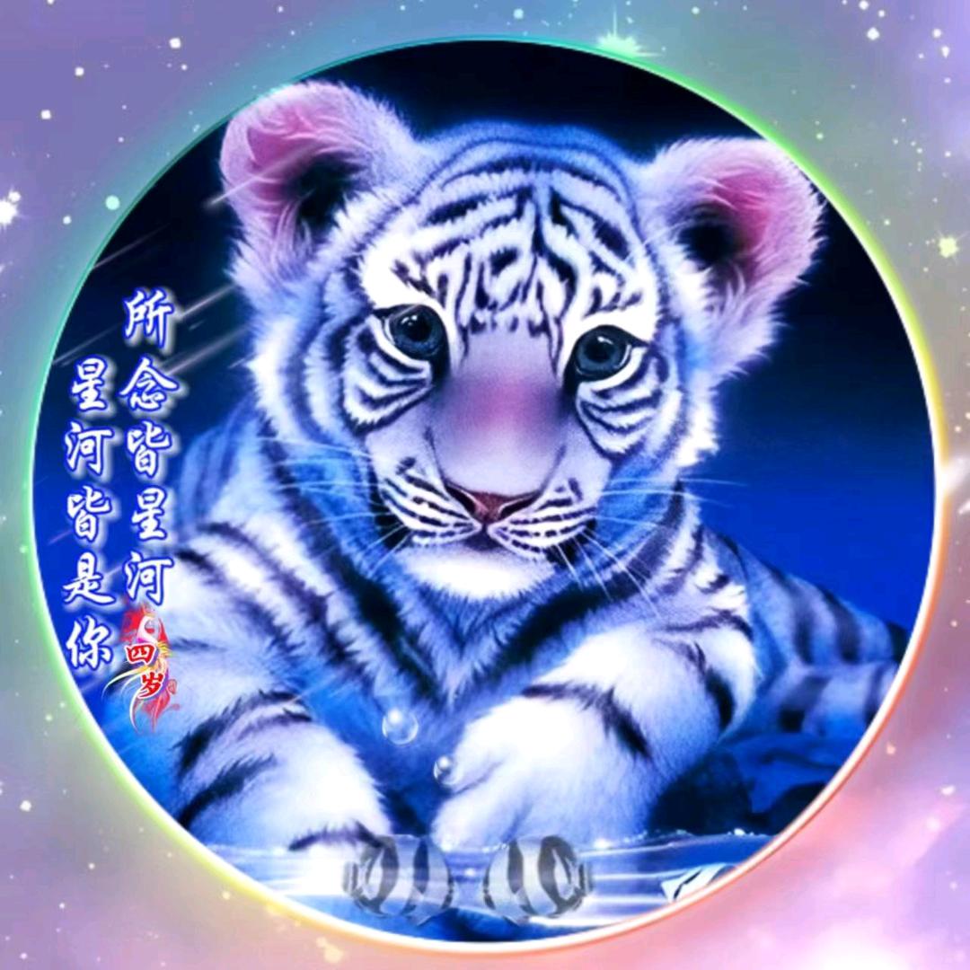 努力奋斗💰
