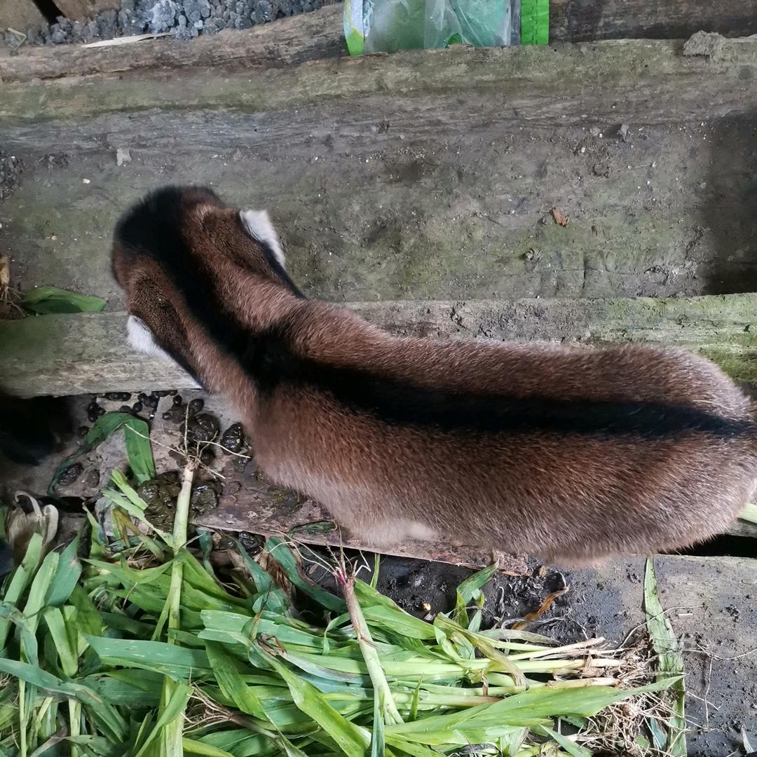 爱以欠费情也停机