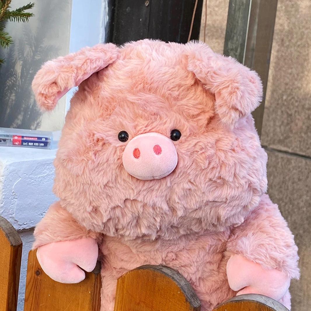 小张的混乱精神世界