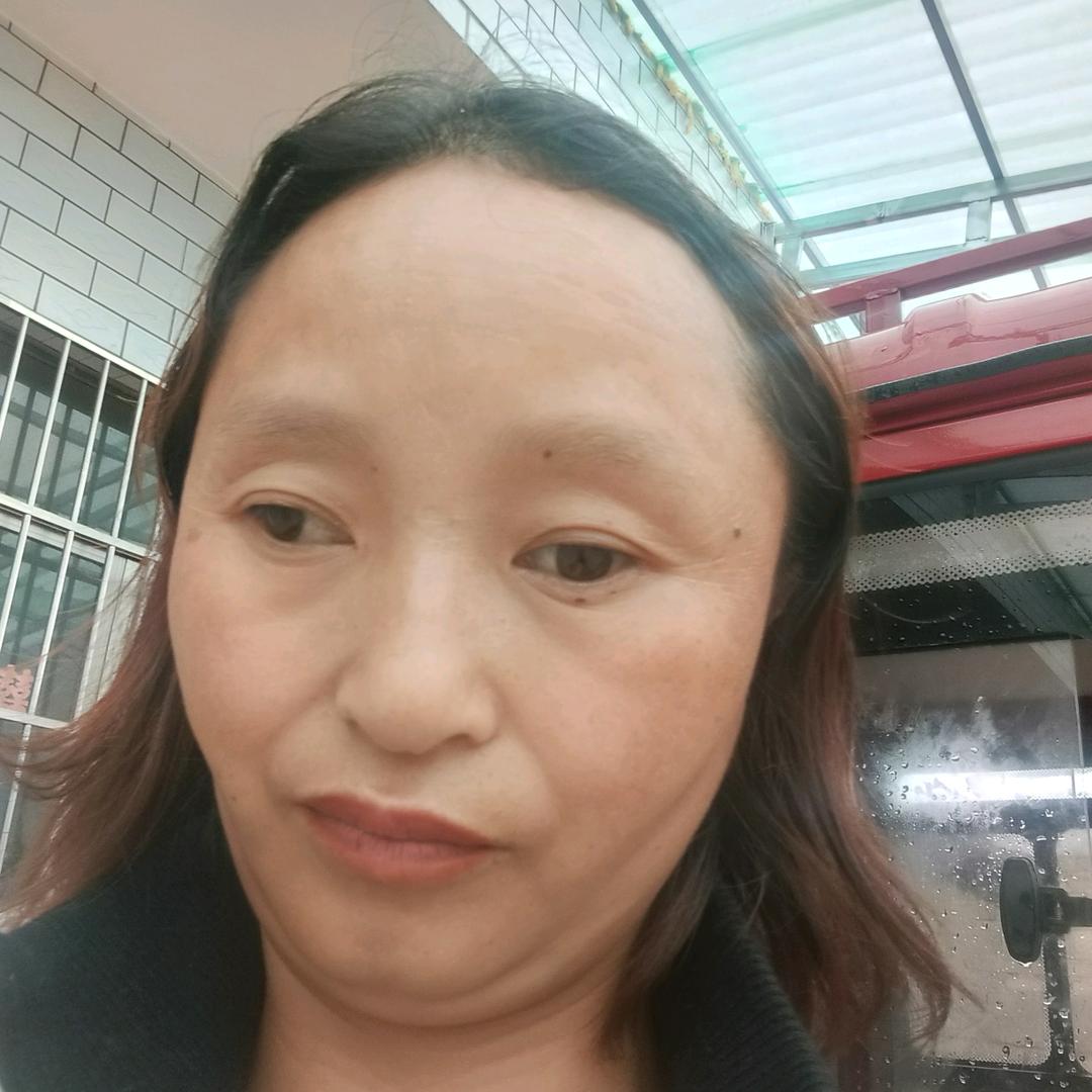 徐金菊