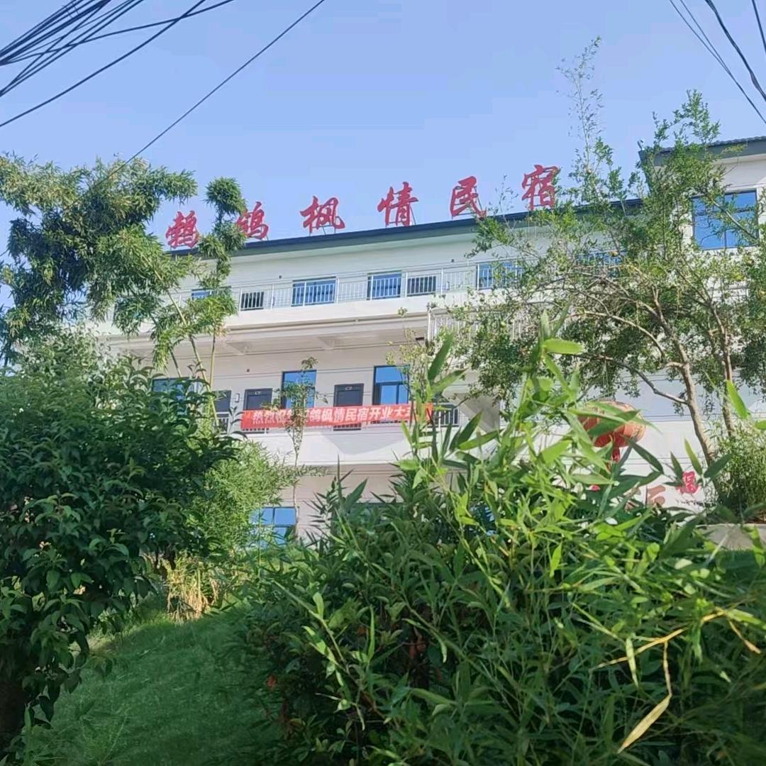 鹁鸽枫情民宿官方号