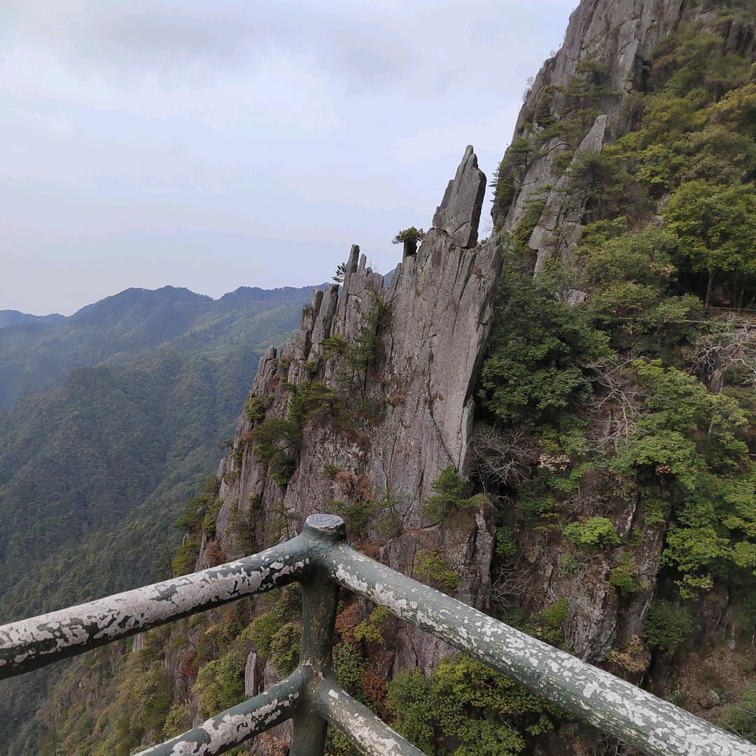 闪闪欲动