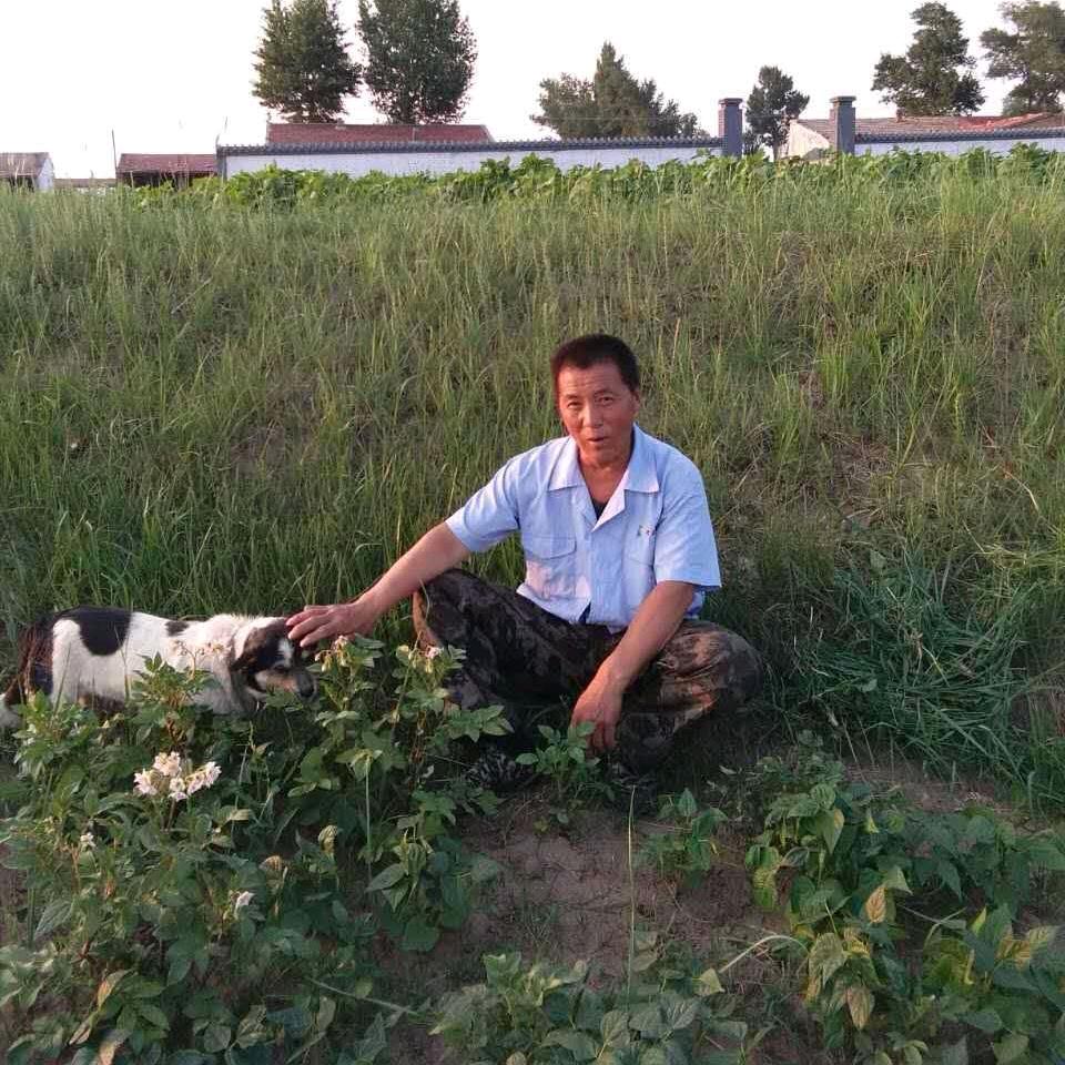 小黑子12138