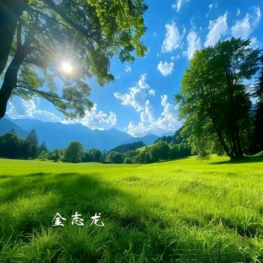 金志龙
