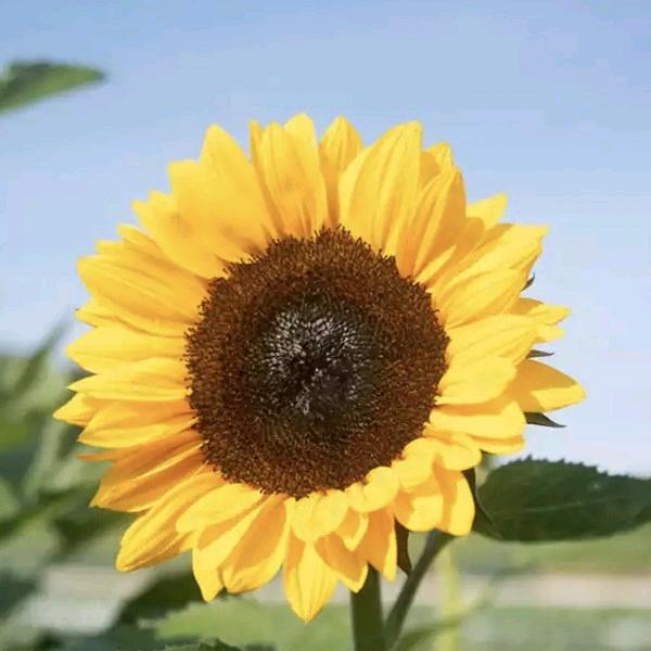 穿着拖鞋追高铁