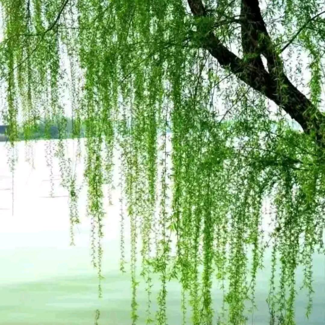 默然68955