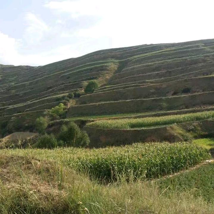 中国梦