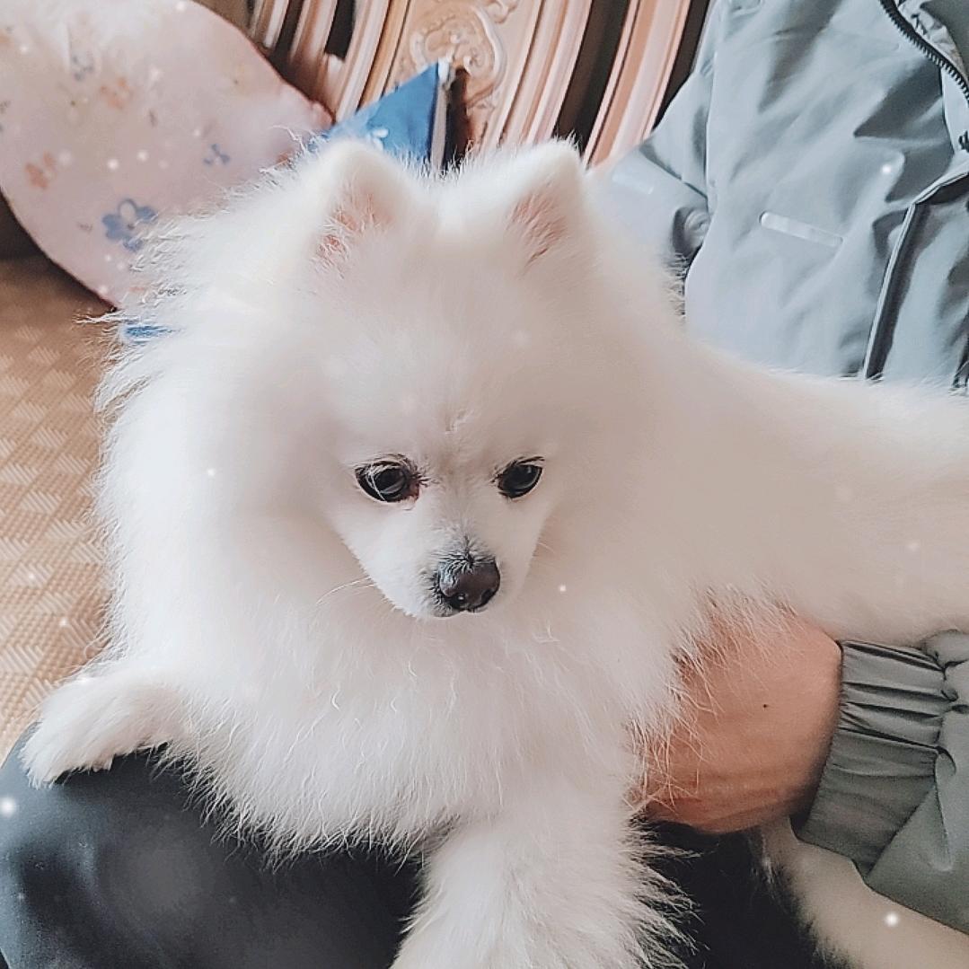 随遇而安