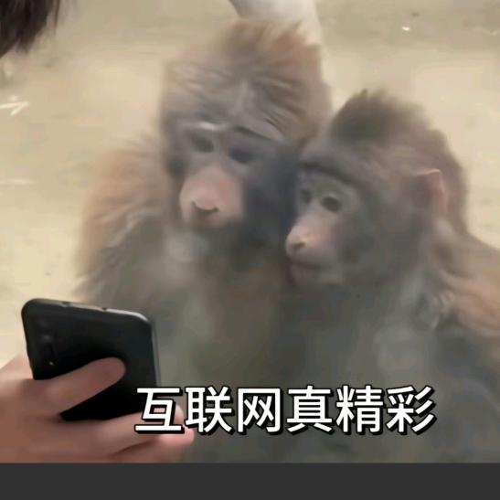 不瘦三十斤不改名🤡