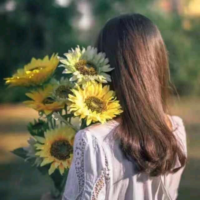 এ᭄༊秀🌻菊ღꦿ࿐