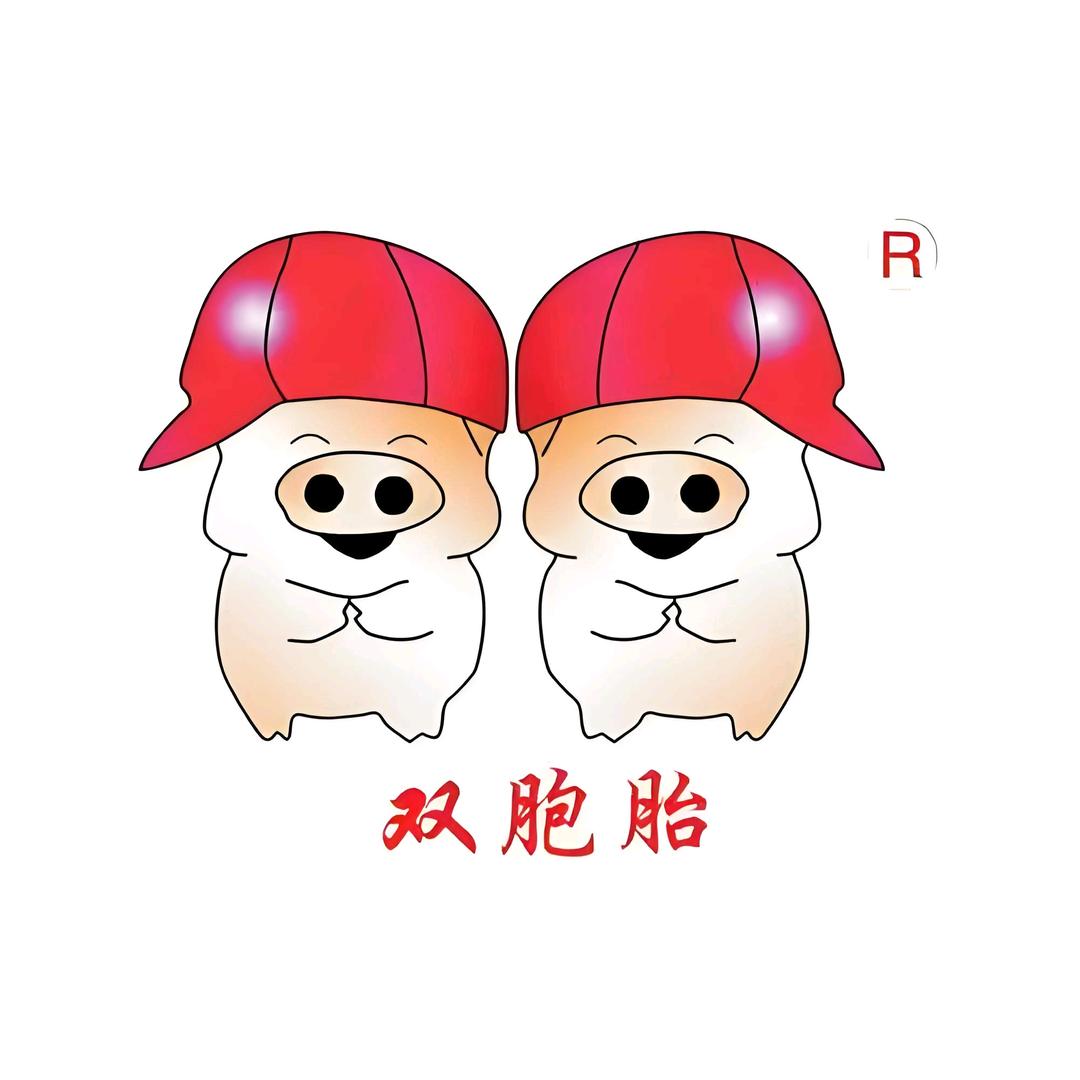 双胞胎高品质饲料公司直销