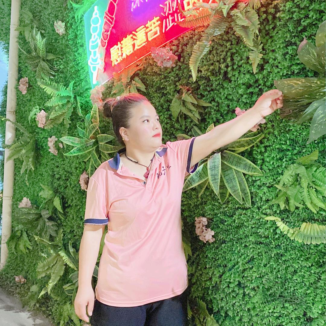 华梦飞紫