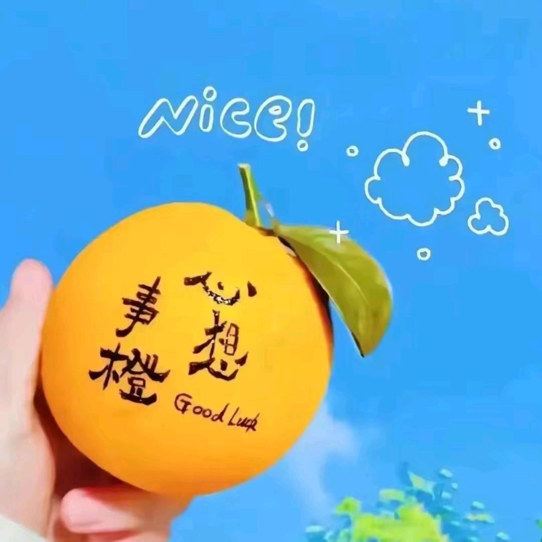 传递正能量人生有轮回苍天饶过谁