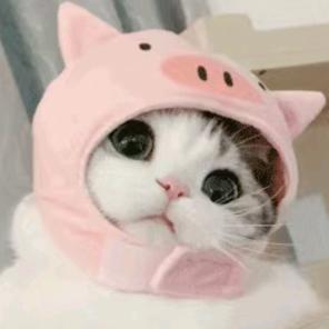 SS