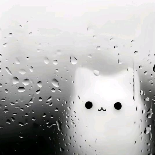 狸˃ʍ˂