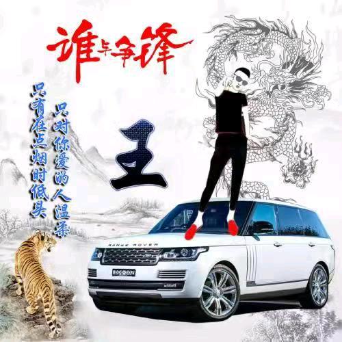 虎翼天翔