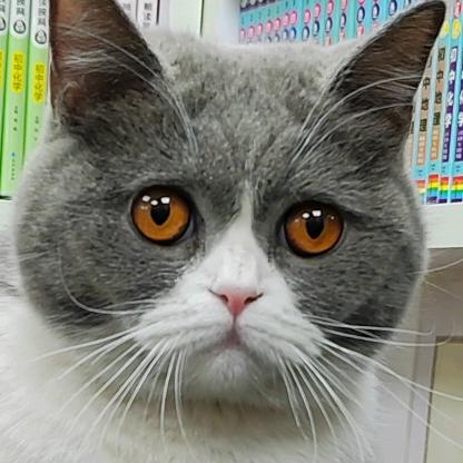 🌈🌈1⃣️0⃣️0⃣️💫💫