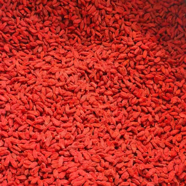 中宁滋补红枸杞