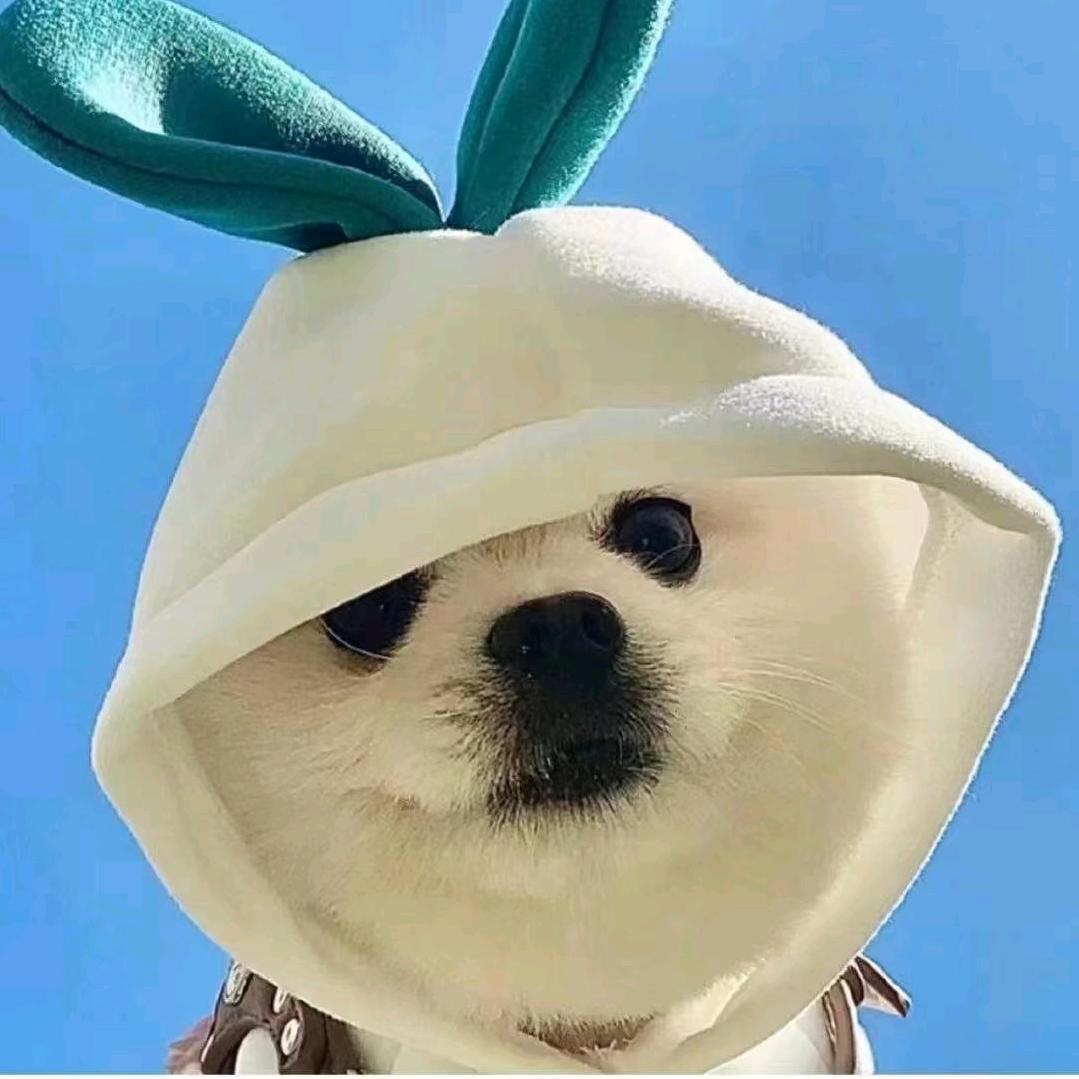 @好运连连