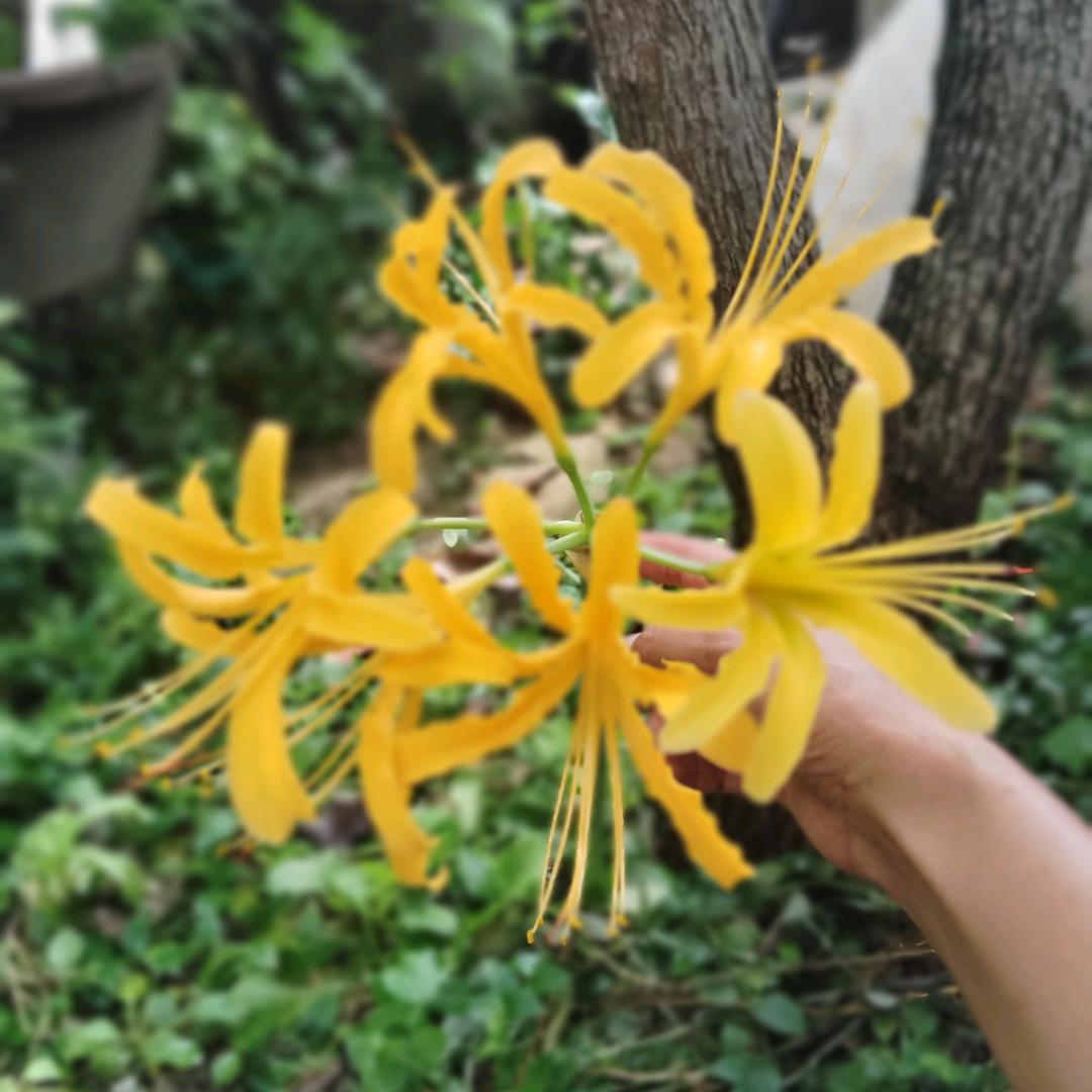 今世之过客