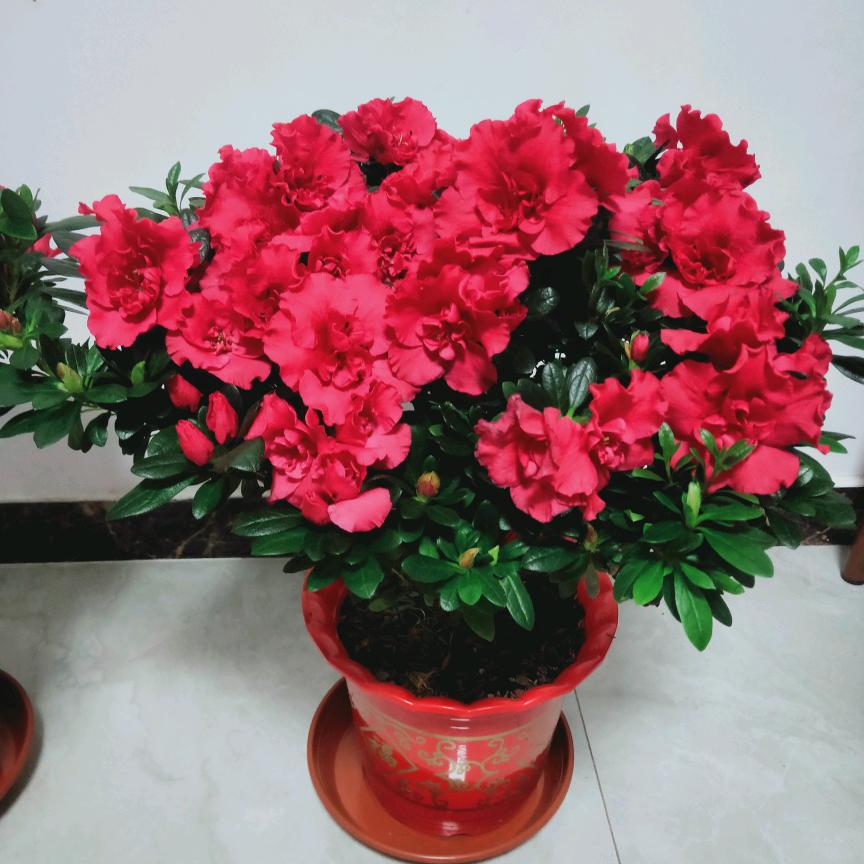 💞๓᭄未来可期♡ꦿ᭄💖