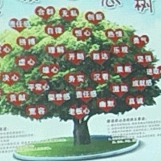 半亩青山