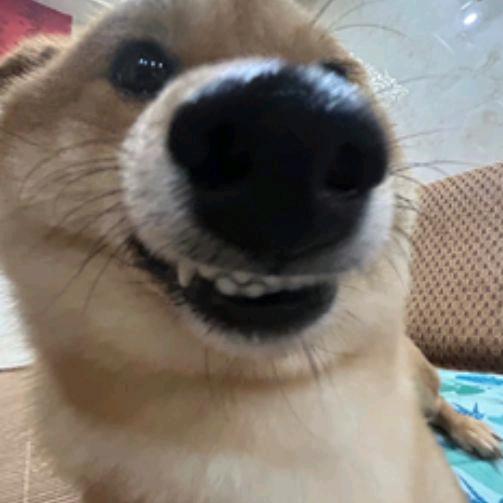 ttt