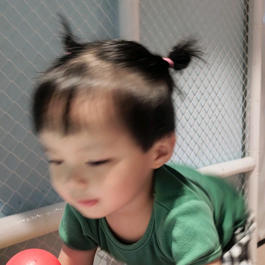 🫚李子