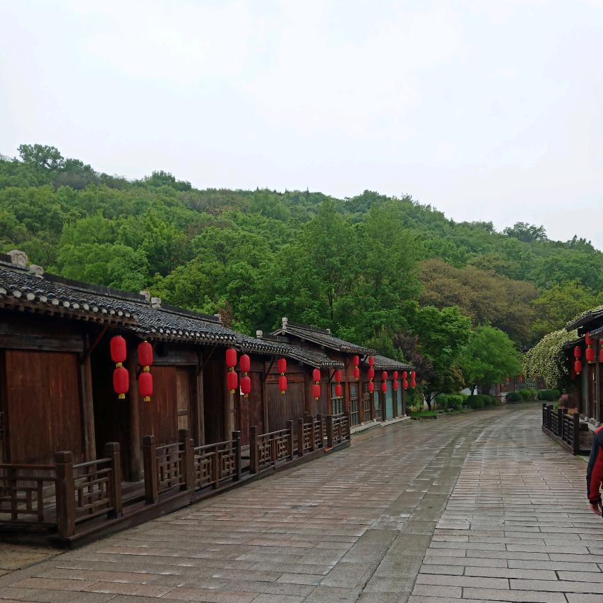 王华