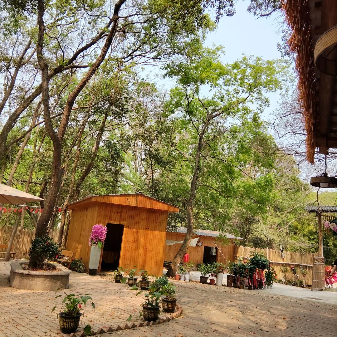 爱你一生不后悔