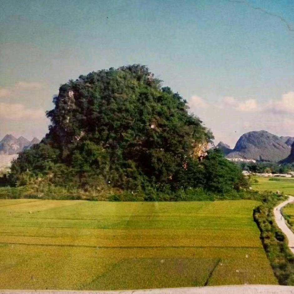 @有缘在线…