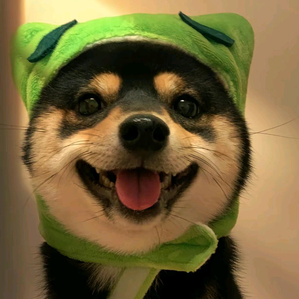 ～不会飞的小鸟～