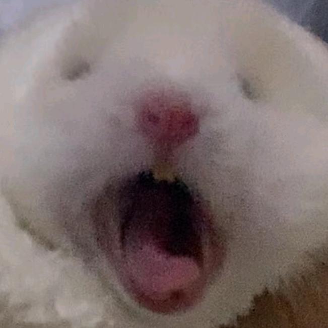 鼙鼓