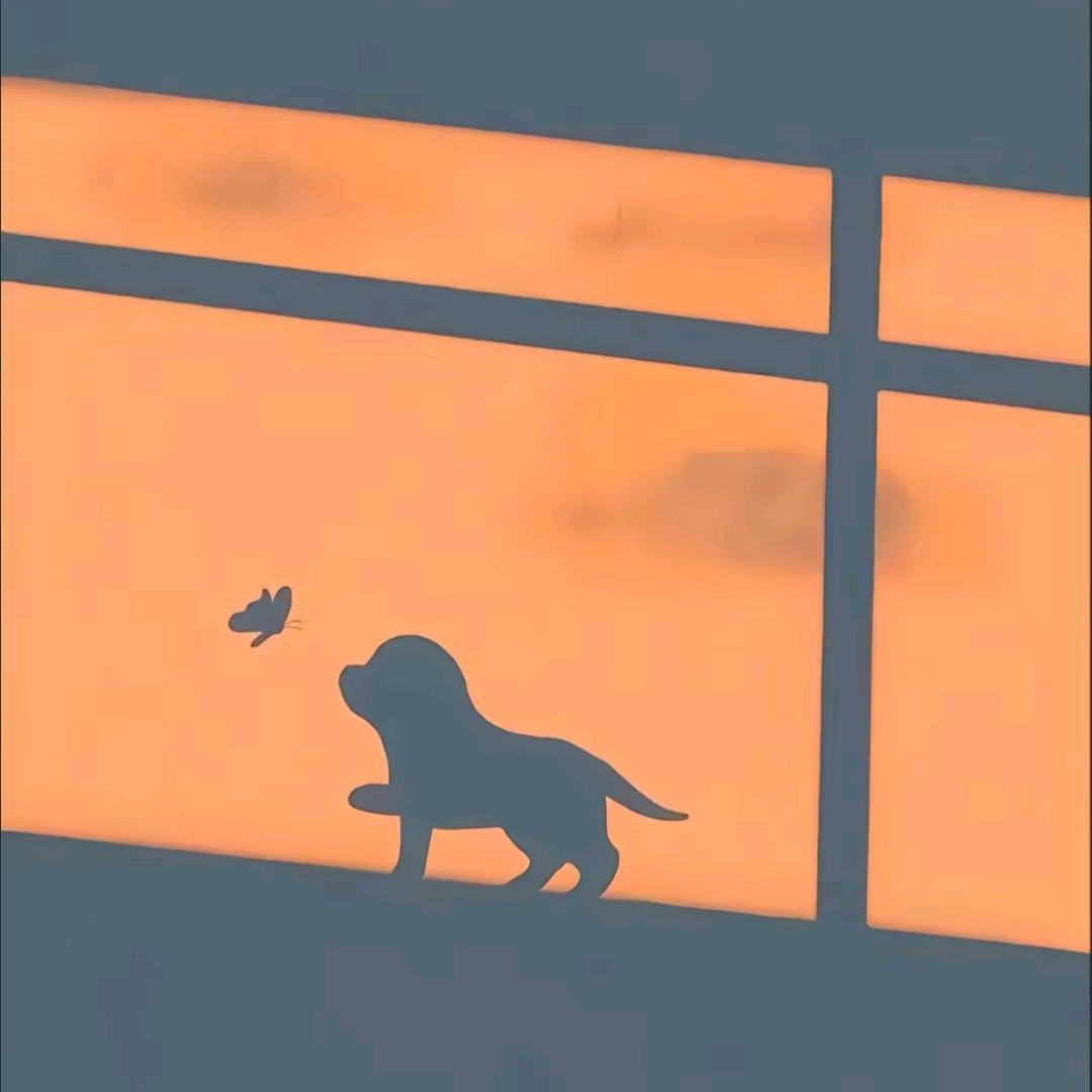 枫🍂