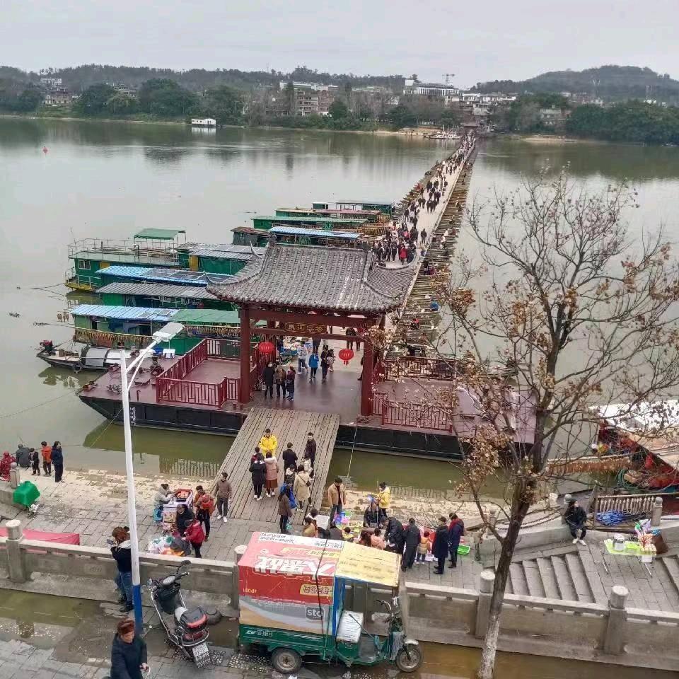 平凡的猪