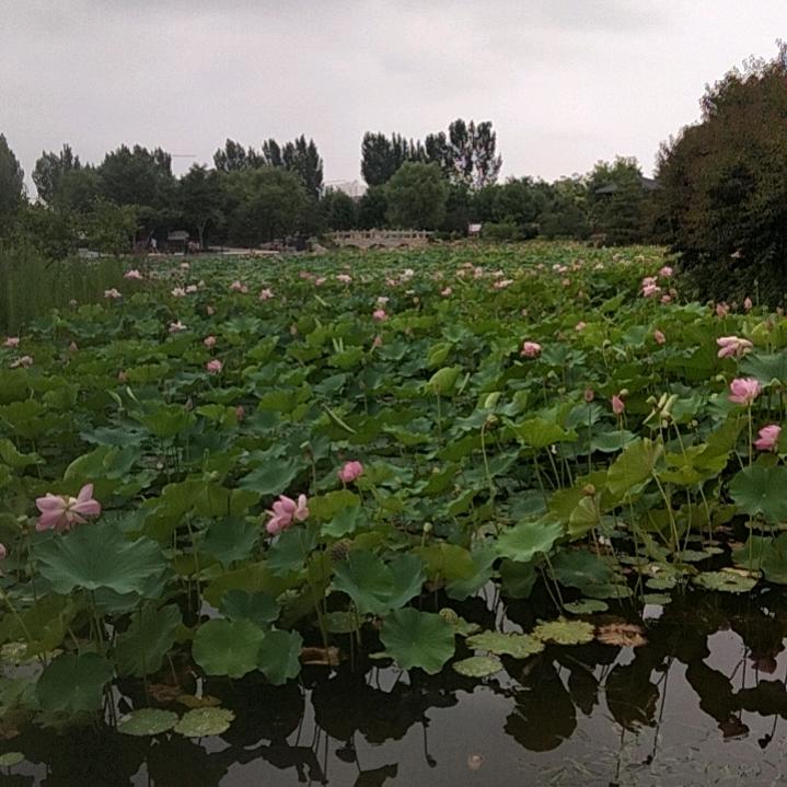 做个不一个样的我