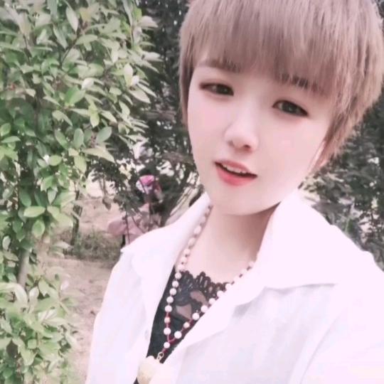 酱猪蹄卤肉麻椒鸡，郑集店.