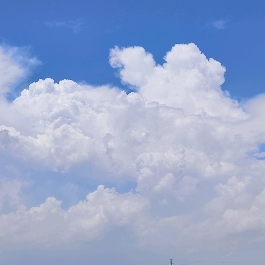 情有独钟！👩‍👩‍👧‍👧