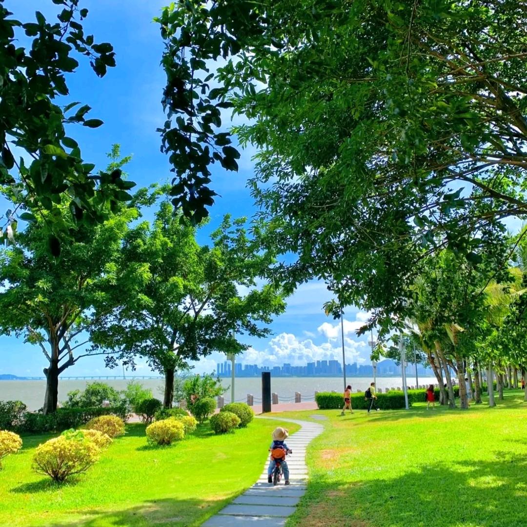 夏日晨风