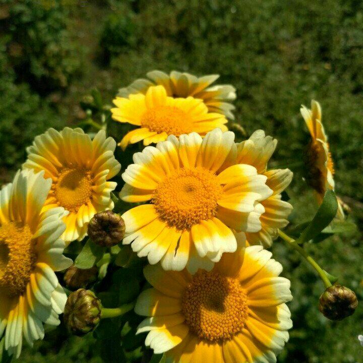 家和万事兴.……