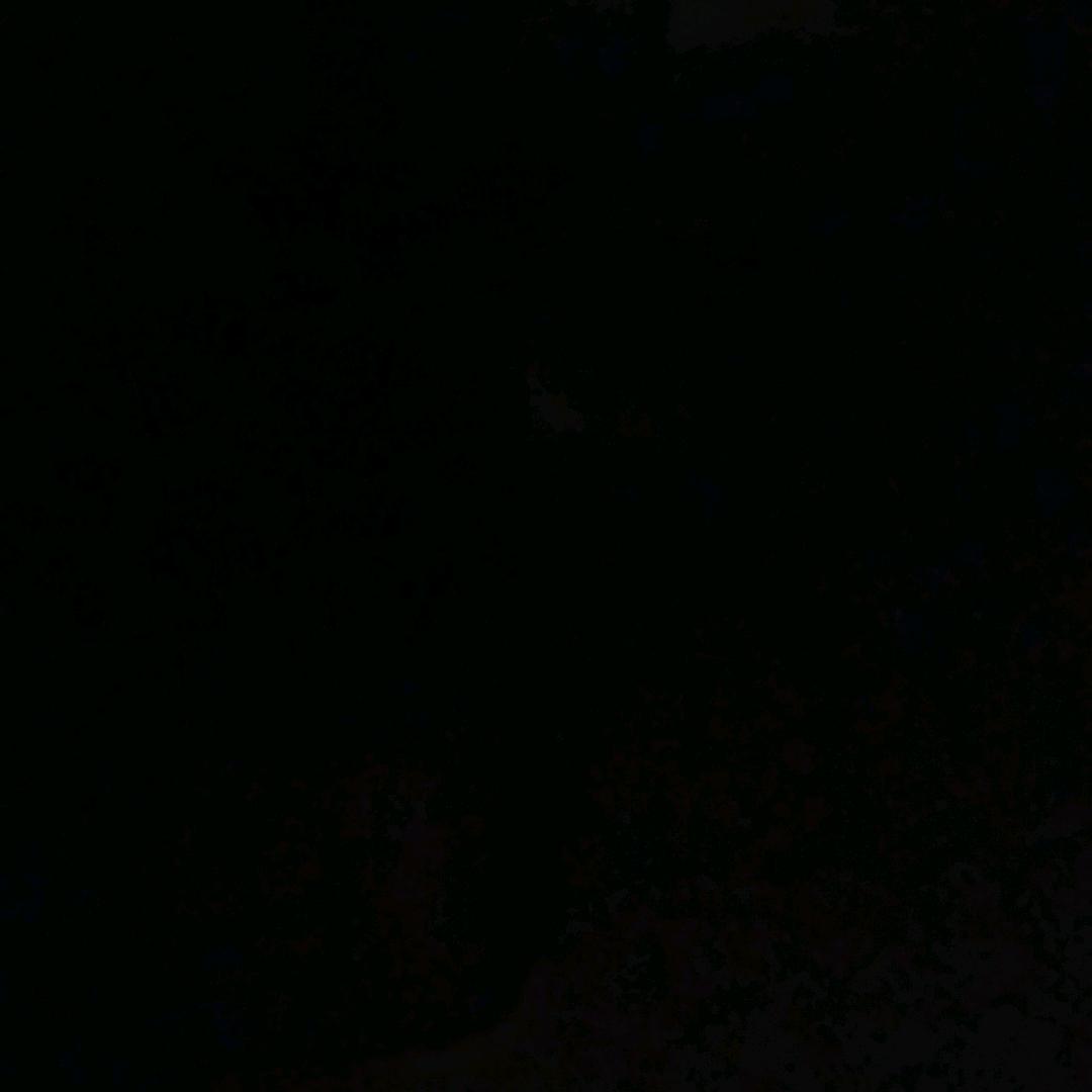 十年青春