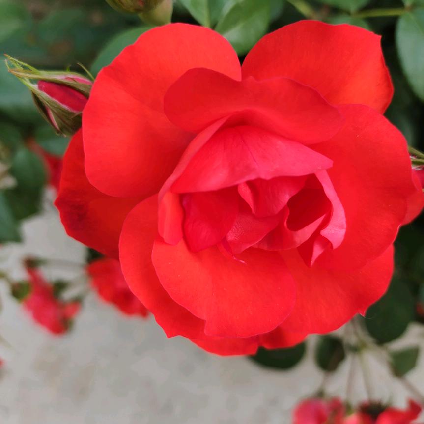 三孩宝妈的生活。