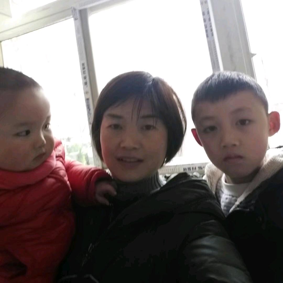 紫梦冰蝶