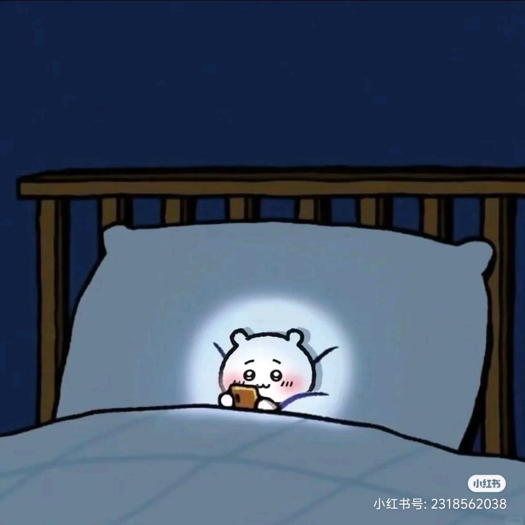 是真的无语公主