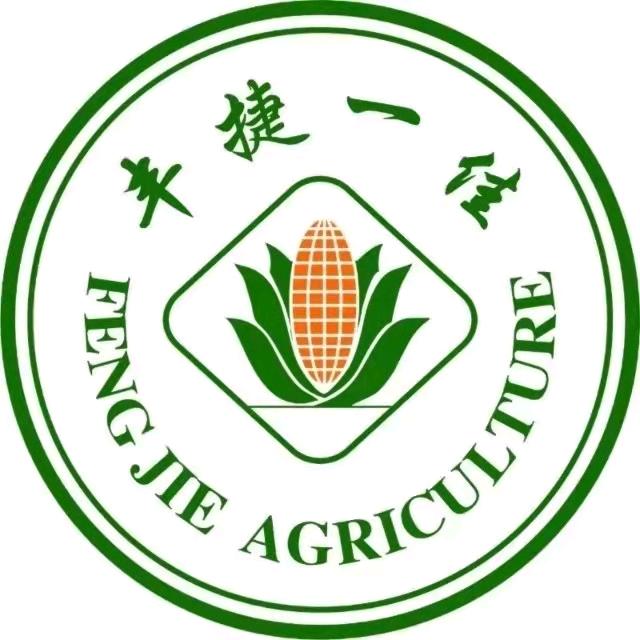 金丰捷高产种子