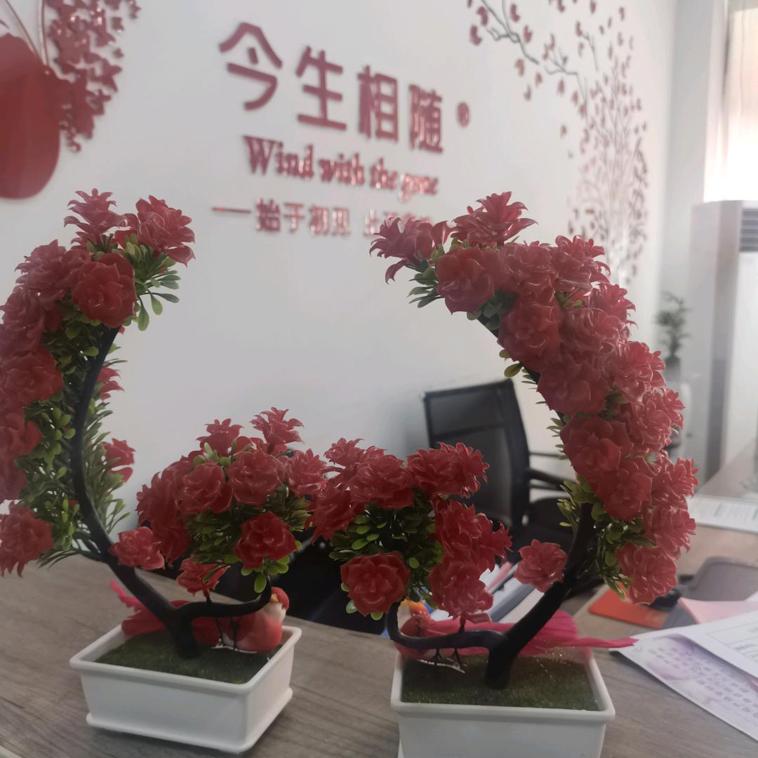 黄梅今生相随～萍萍老师