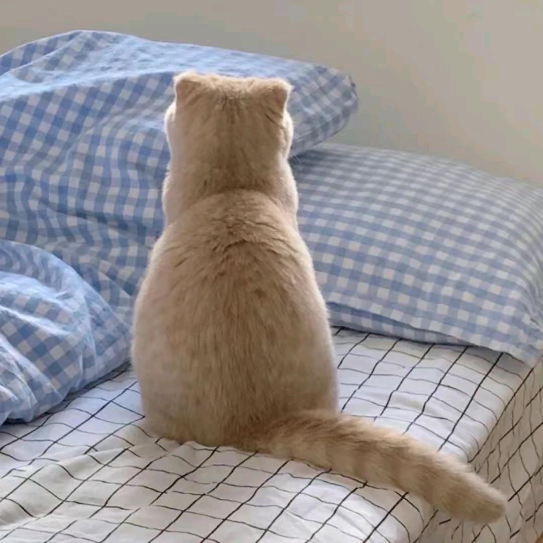 回忆怎么潜