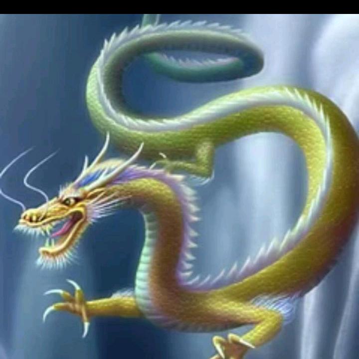 问世间情为何物