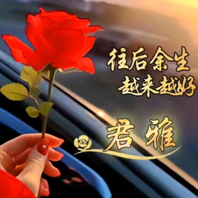 樱花飞舞